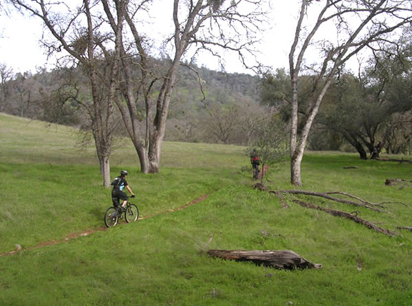 Auburn SRA Mountain Biking