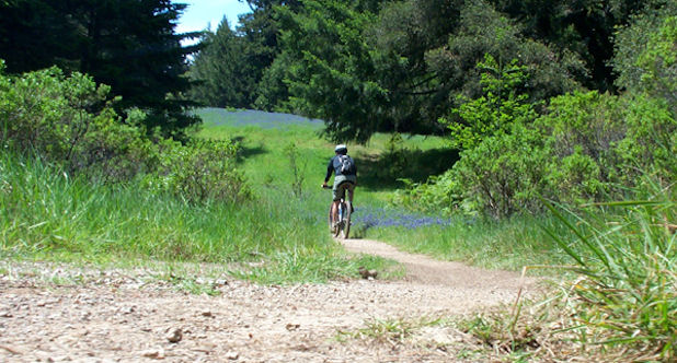 Skeggs Mountain Biking